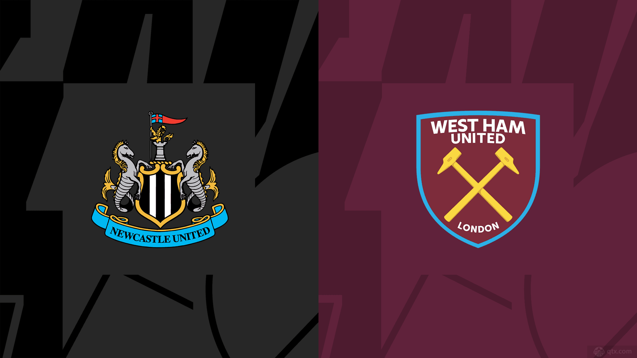 数球迷的目 数球迷的目